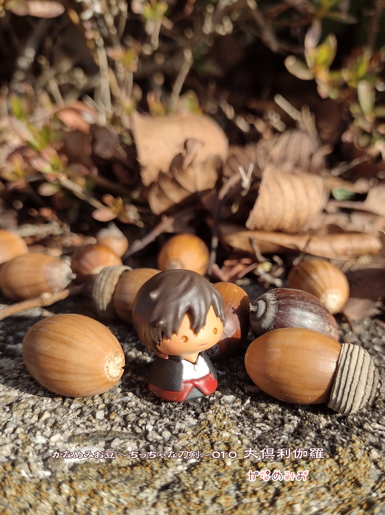 大倶利伽羅 (かなめみお豆~ちっちゃな刀剣~010)