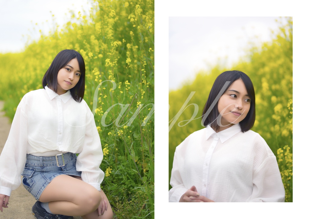 【C104新刊】Sakura Memories 【倉庫発送】