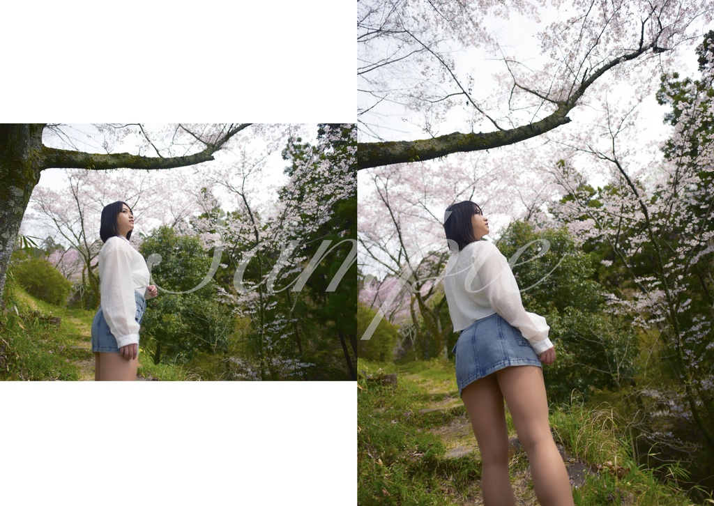 【C104新刊】Sakura Memories 【倉庫発送】