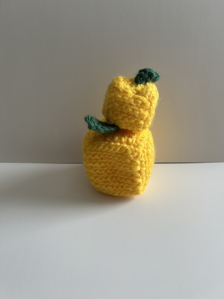 【限定2個】しかくいゆずのあみぐるみ ぷち