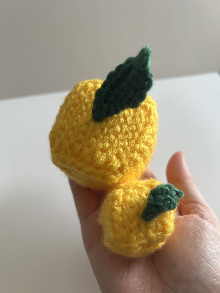 【限定2個】しかくいゆずのあみぐるみ ぷち