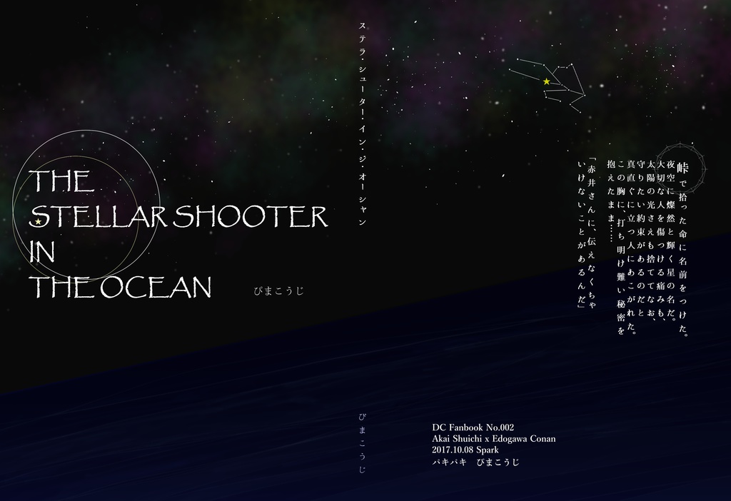 THE STELLAR SHOOTER IN THE OCEAN