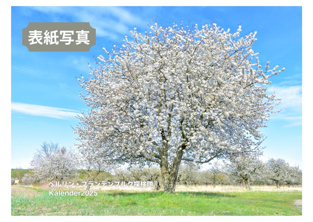 ドイツの四季卓上カレンダー2025