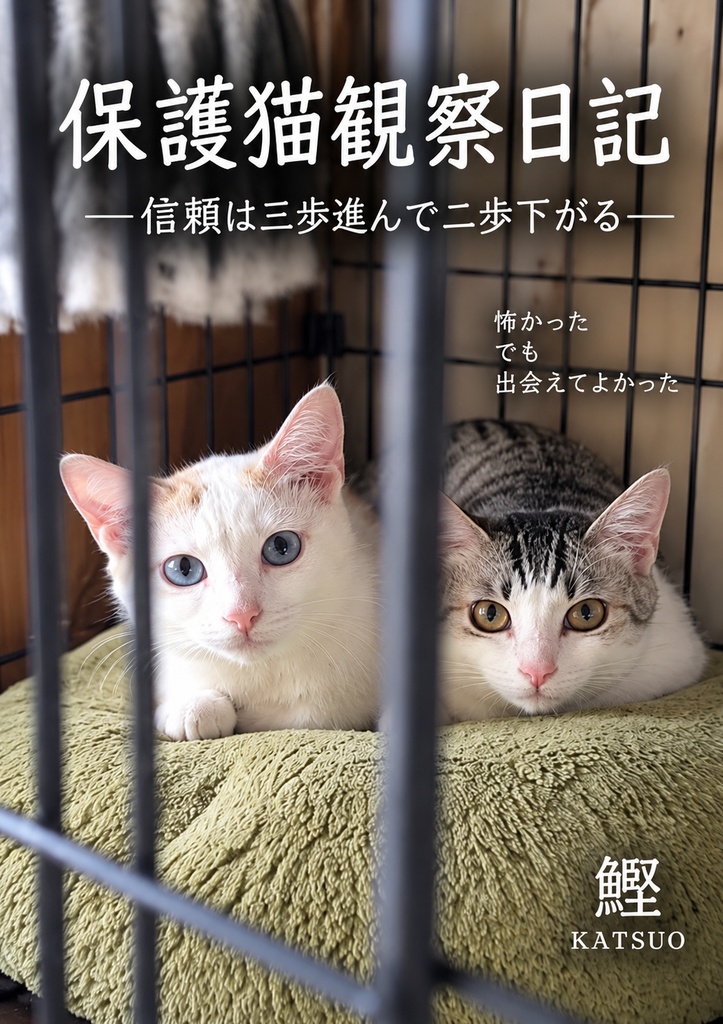 【無料お試し版】保護猫観察日記 ――信頼は三歩進んで二歩下がる―― 第一部