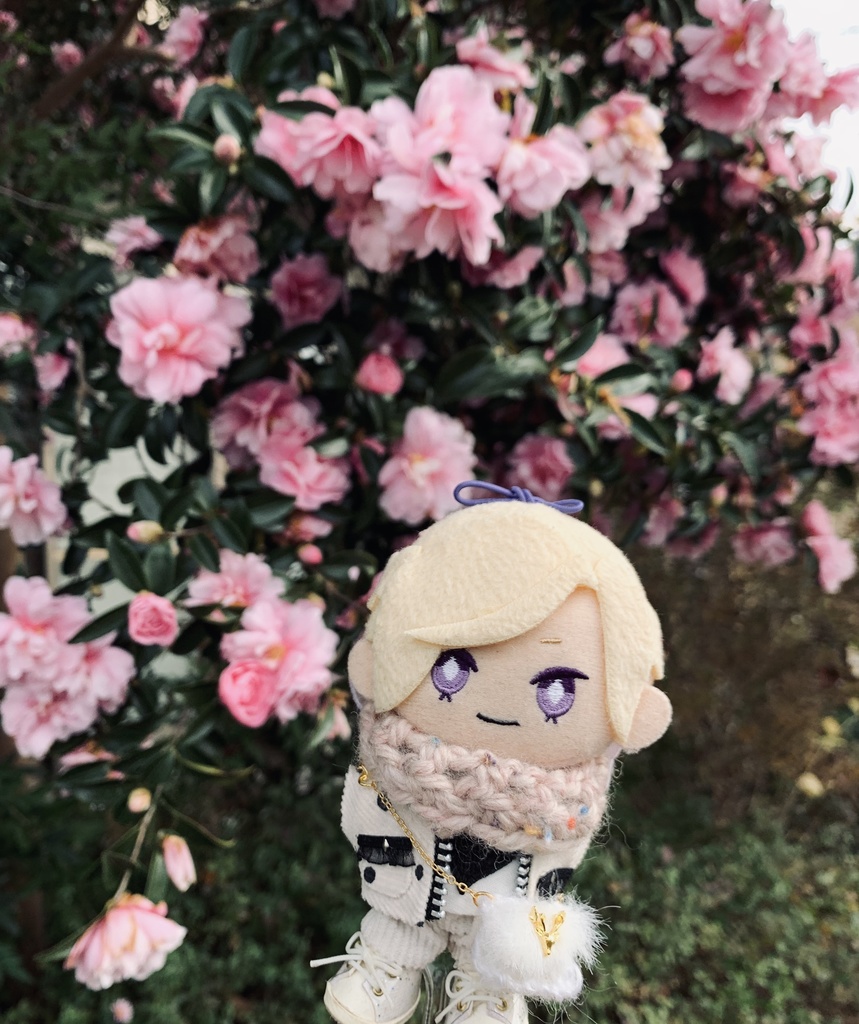 スヌードとマフラー