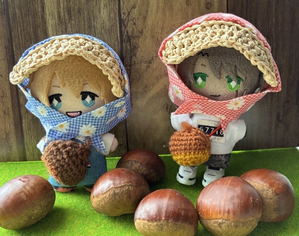 農作業帽子と秋の味覚セット