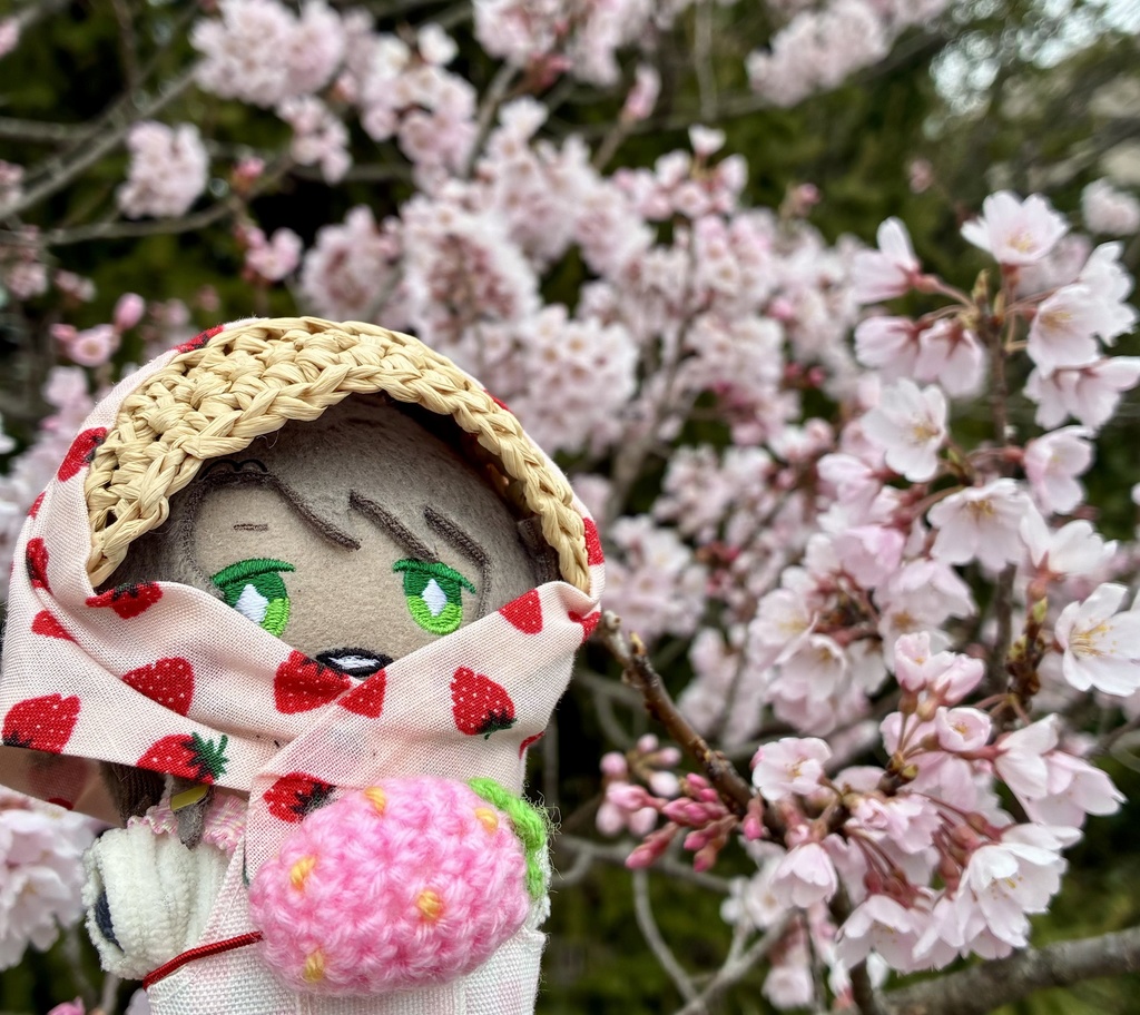 農作業帽子🍓と春いちごセット