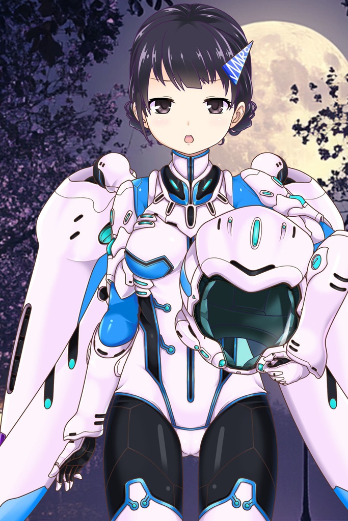 Agent Karen 小説Vol.17 夜空に舞う白い蝶と迷い猫 Agent Karen Novel Vol.17 -The White Butterfly and the Lost Cat Dancing in the Night