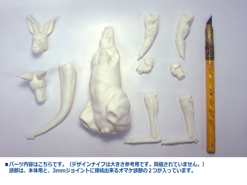 カンガルーさん