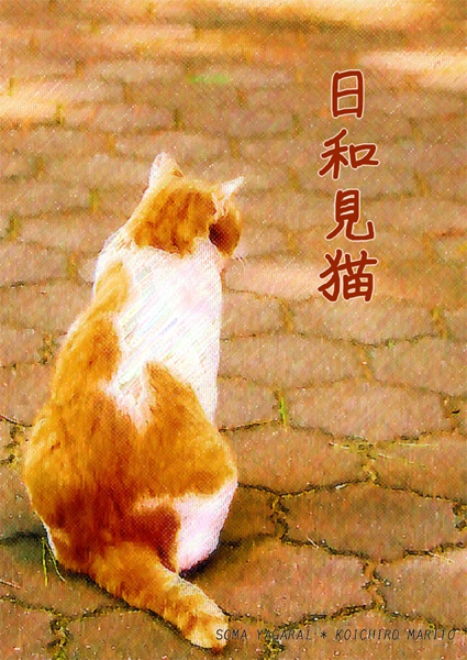 【AZ】日和見猫【耶鞠】