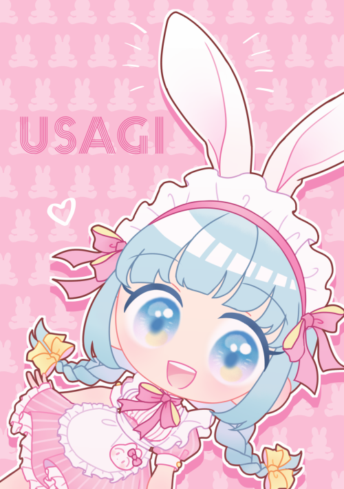 イラスト本『USAGI』