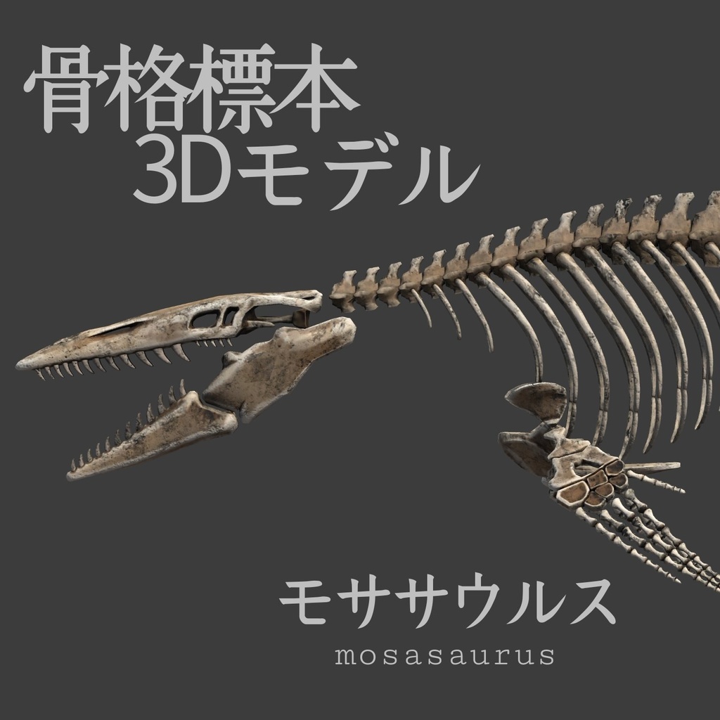 骨格標本 モササウルス - ななとり電子サービス - BOOTH