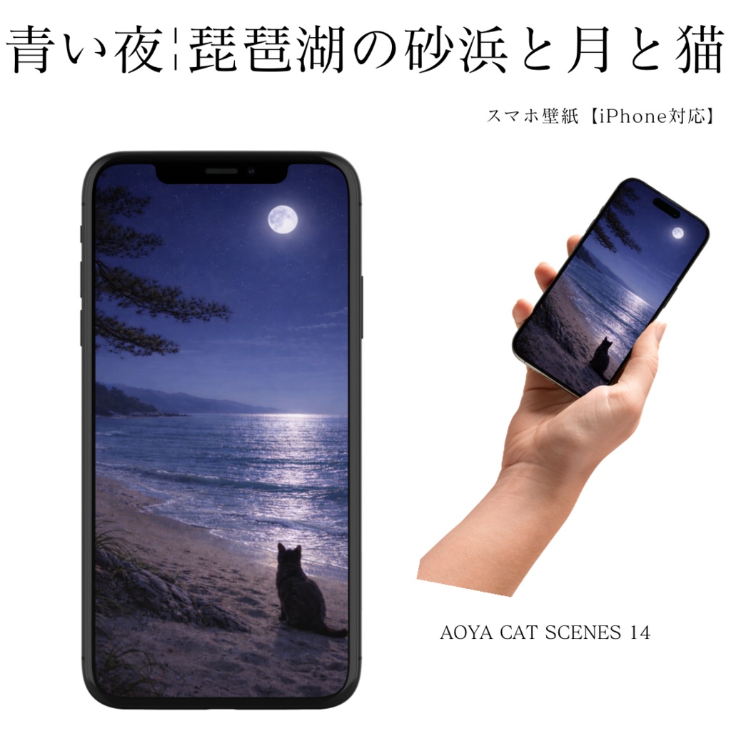 【iPhone壁紙】青い夜|琵琶湖の砂浜と猫|Moonlit Beach Cat |Aoya Cat Scenes 14