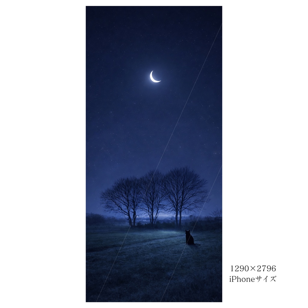 【iPhone壁紙】青い夜|月夜の草原と猫|静かな夜のスマホ壁紙|Moonlit Grassland Cat Aoya Cat Scenes 19