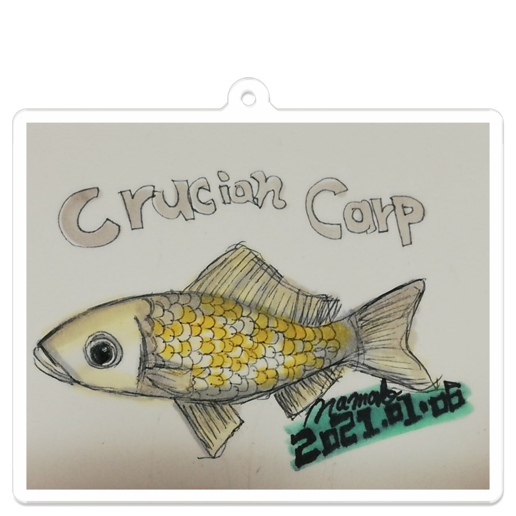 crucian carp フナのアクリルキーホルダー