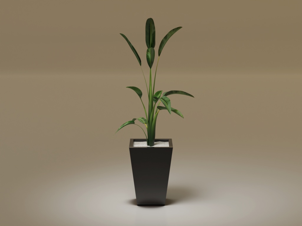 ローポリ_観葉植物:ストレリチア・レギネ