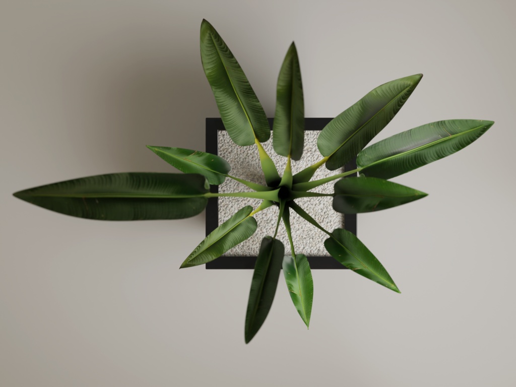 ローポリ_観葉植物:ストレリチア・レギネ