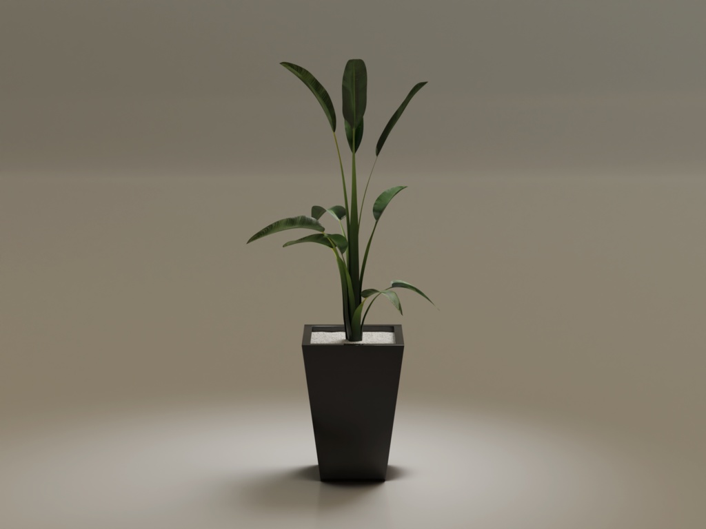 ローポリ_観葉植物:ストレリチア・レギネ