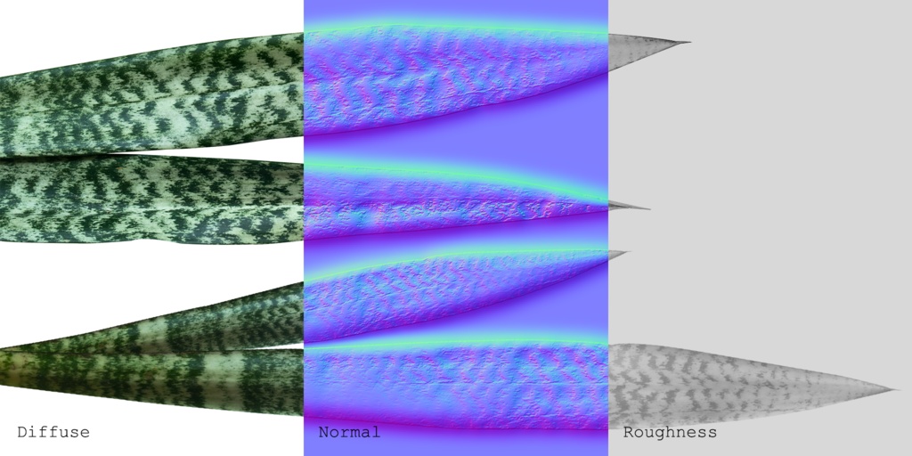 ローポリ_観葉植物:サンセベリア・トリファスキアータ