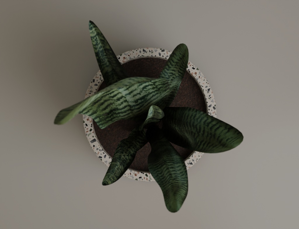 ローポリ_観葉植物:サンセベリア・トリファスキアータ