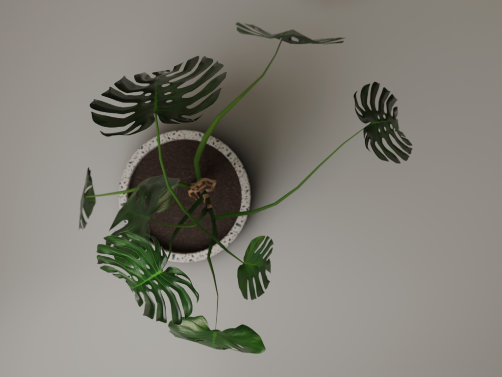 ローポリ_観葉植物:モンステラ1