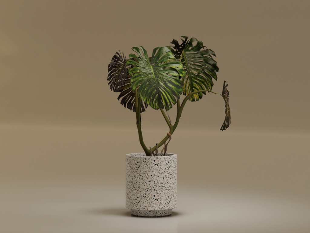ローポリ_観葉植物:モンステラ2