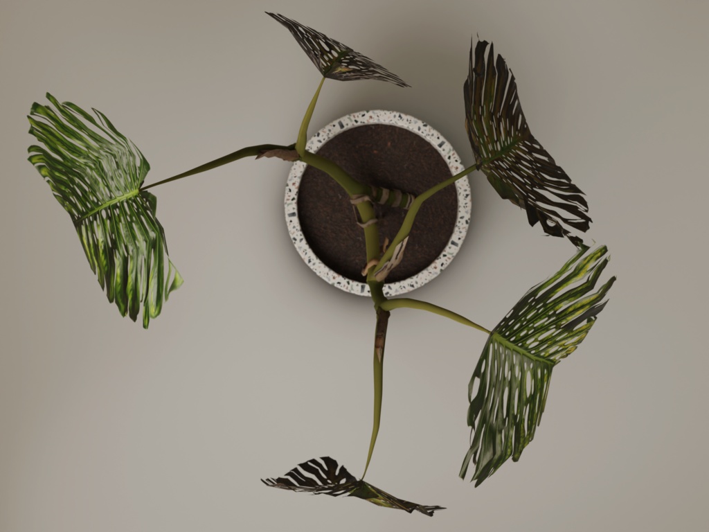 ローポリ_観葉植物:モンステラ2