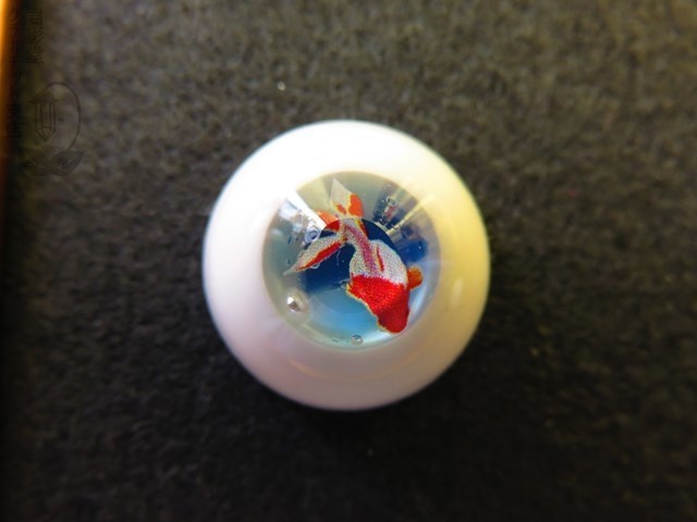 18mmレジンアイ(遊泳金魚 一粒真珠)