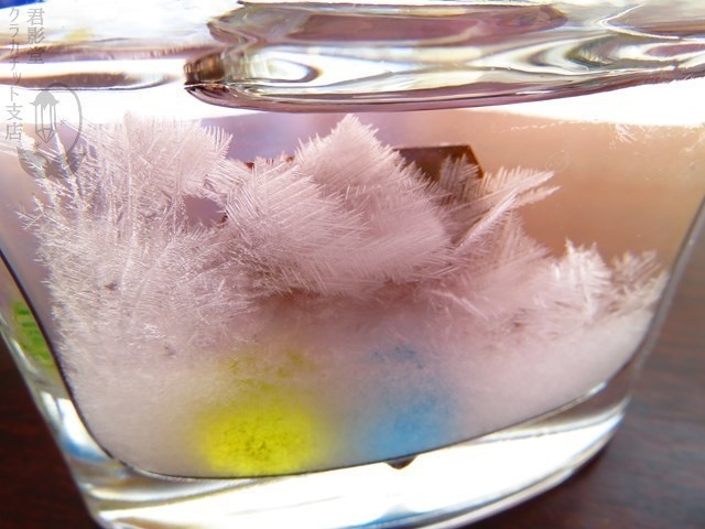 天気管(インク瓶・小鳥の夫婦)