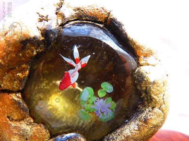 模造魚石:自然金