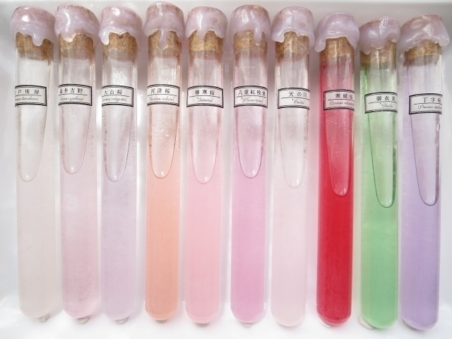 封蝋試験管天気管【受注生産用】