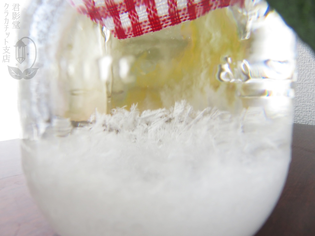 天気管(幽霊林檎ジュース)