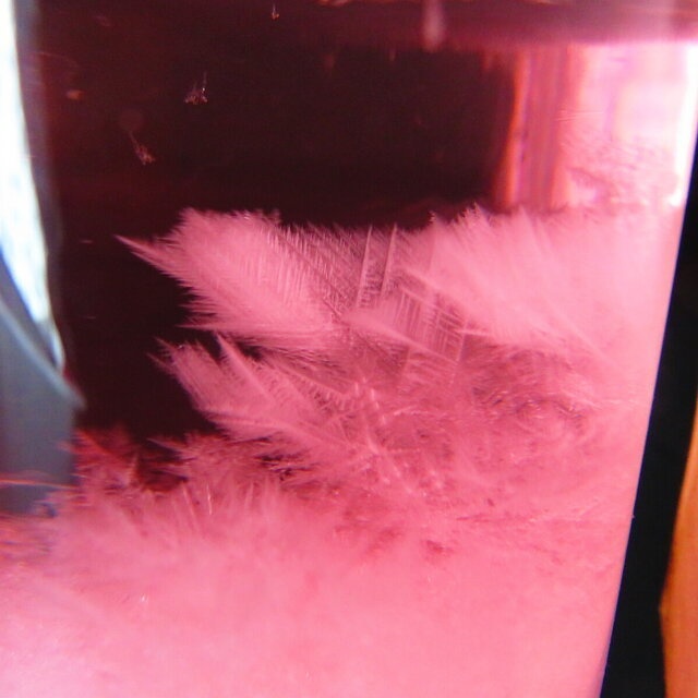 天気管 (「私を飲んで!」桜)