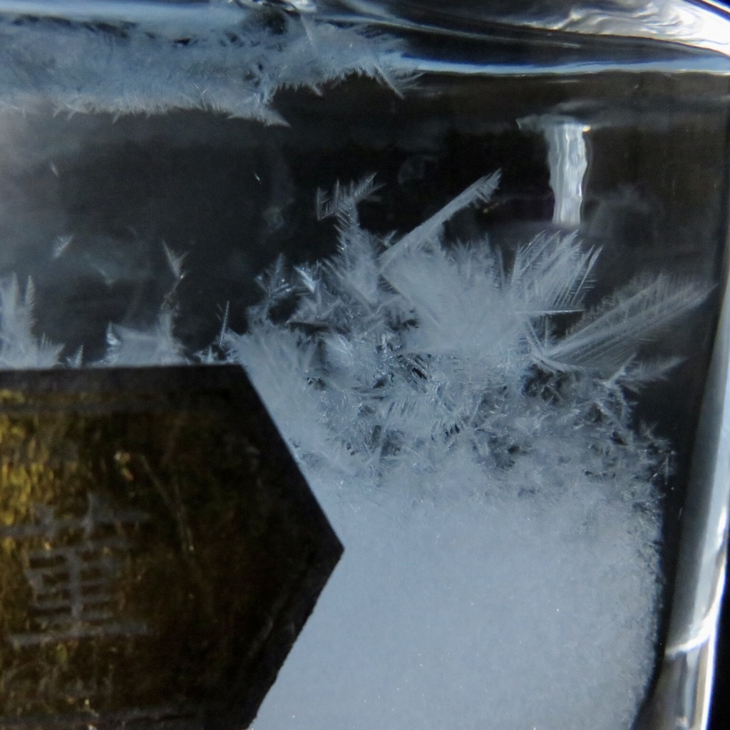 天気管(インク瓶・露菫)