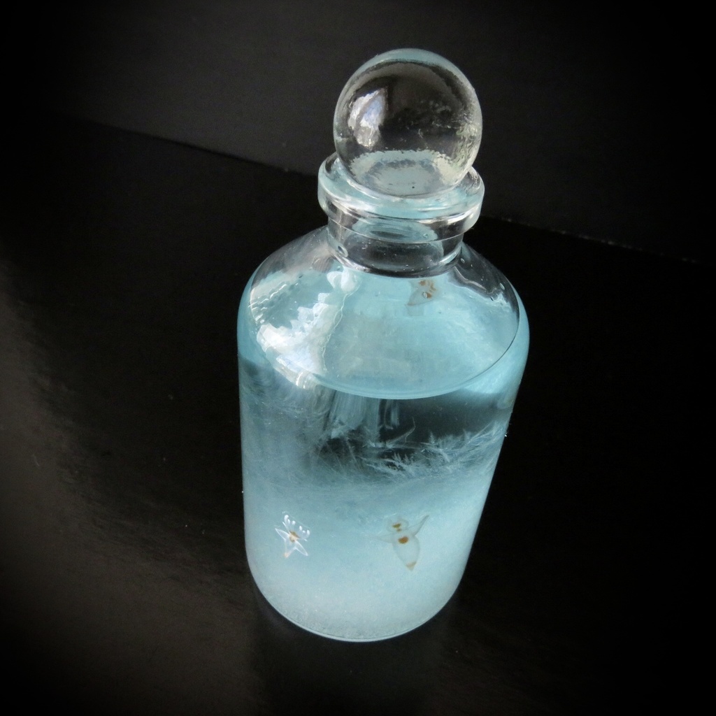 天気管(クリオネ)