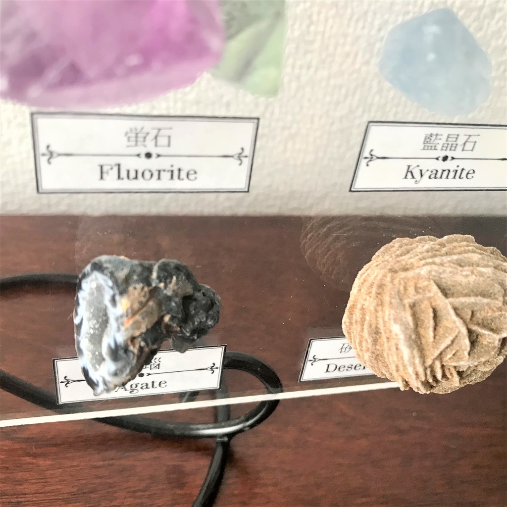 透明鉱物標本板