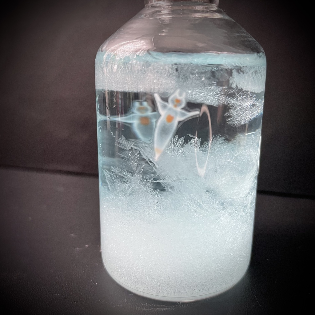 小瓶天気管(北極クリオネ)