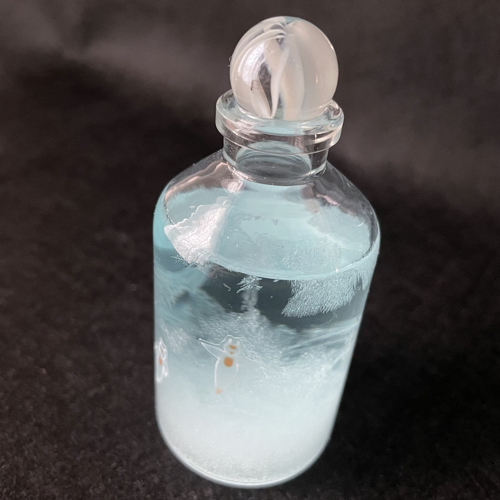 小瓶天気管(北極クリオネ)