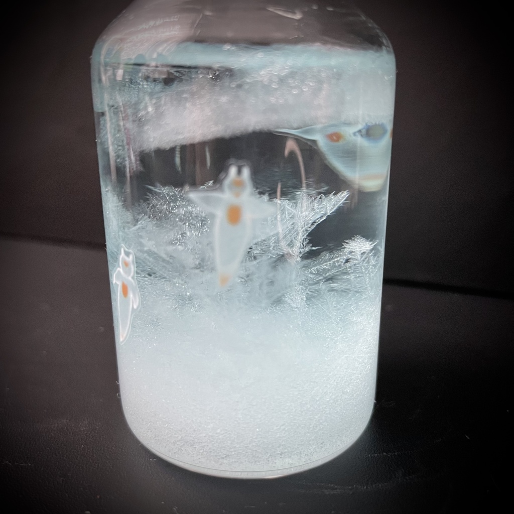 小瓶天気管(北極クリオネ)