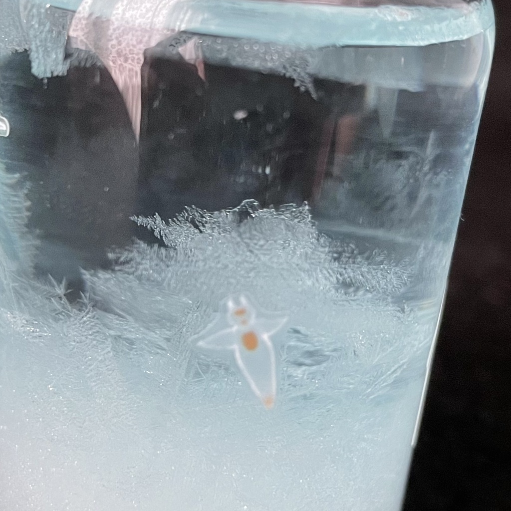 小瓶天気管(北極クリオネ)