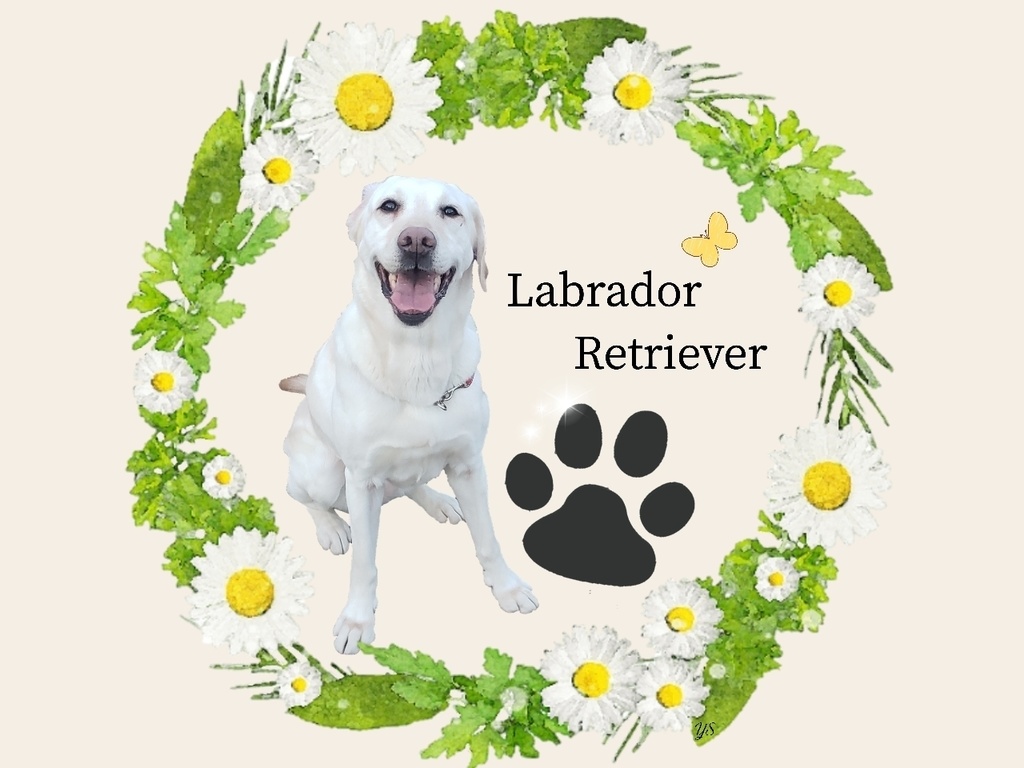 LRオリジナルアクリルキーホルダー