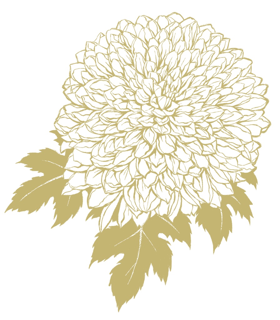 菊素材セットPNG形式【お試し低価格版】