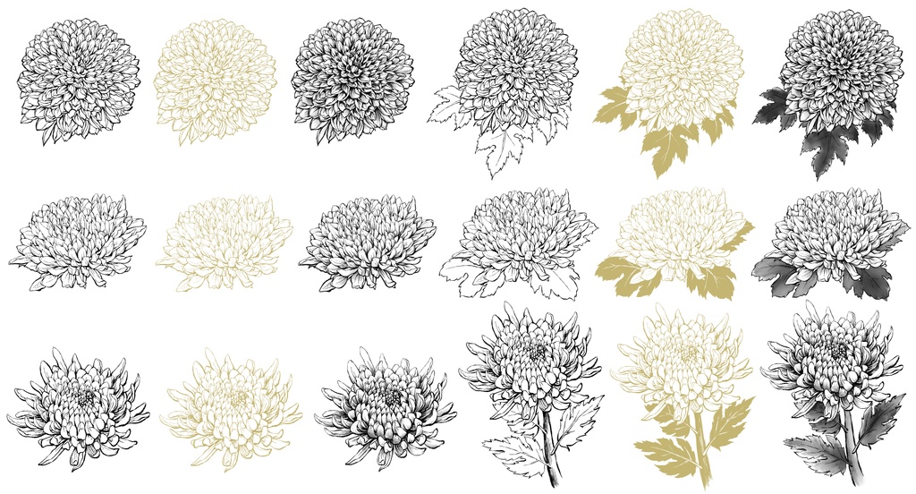 菊素材セットPNG形式【お試し低価格版】