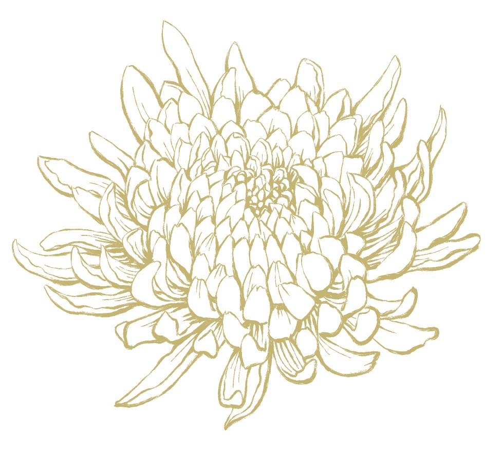 菊素材セットPNG形式【お試し低価格版】