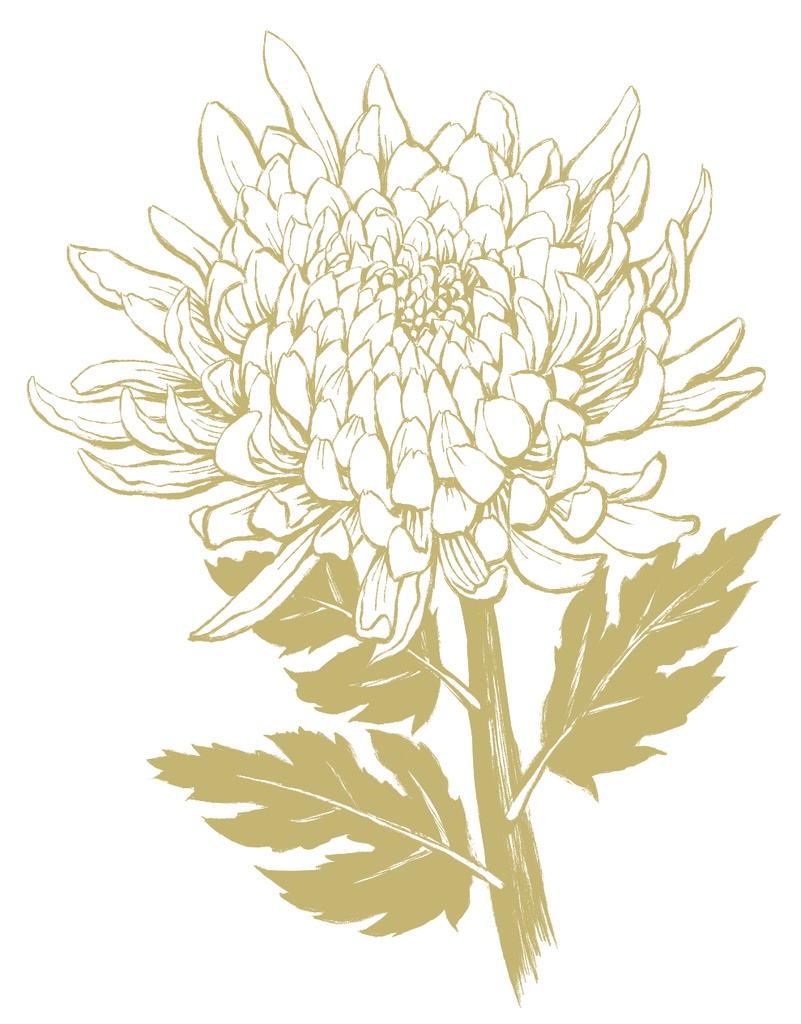 菊素材セットPNG形式【お試し低価格版】