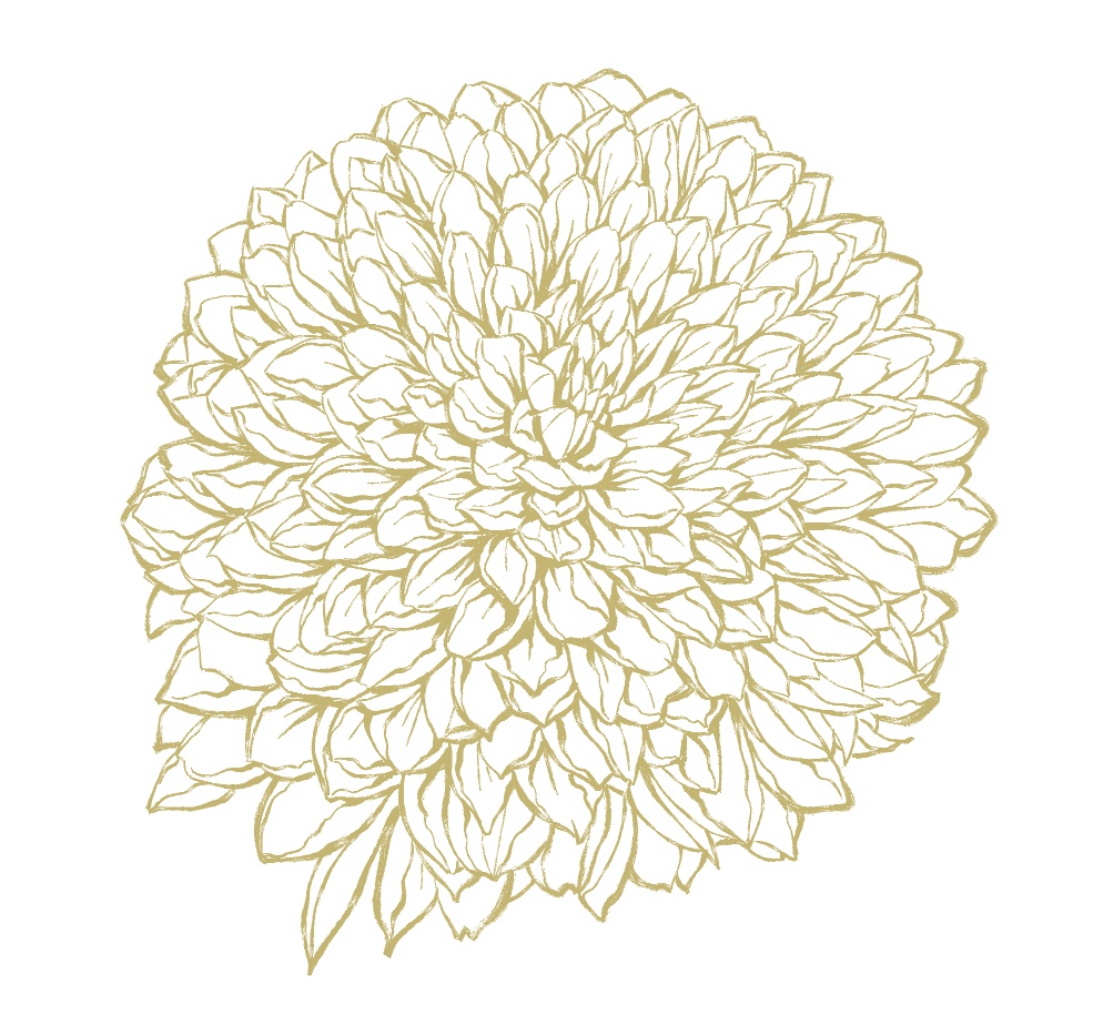 菊素材セットPNG形式【お試し低価格版】