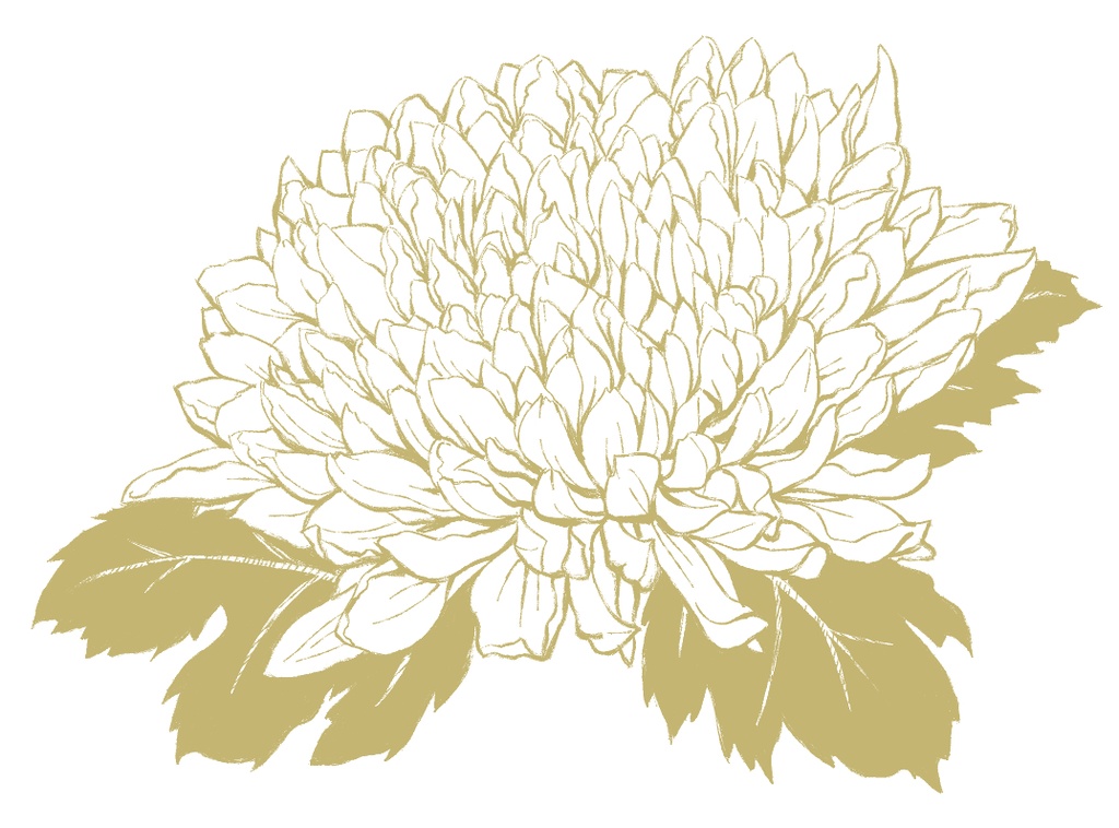 菊素材セットPNG形式【お試し低価格版】