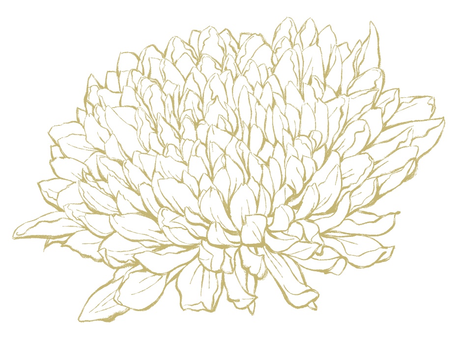 菊素材セットPNG形式【お試し低価格版】