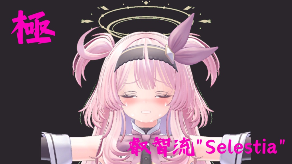 16種類セット!セレスティア用最強表情パック『極 叡智流"Selestia"』(攻め8種類受け8種類)