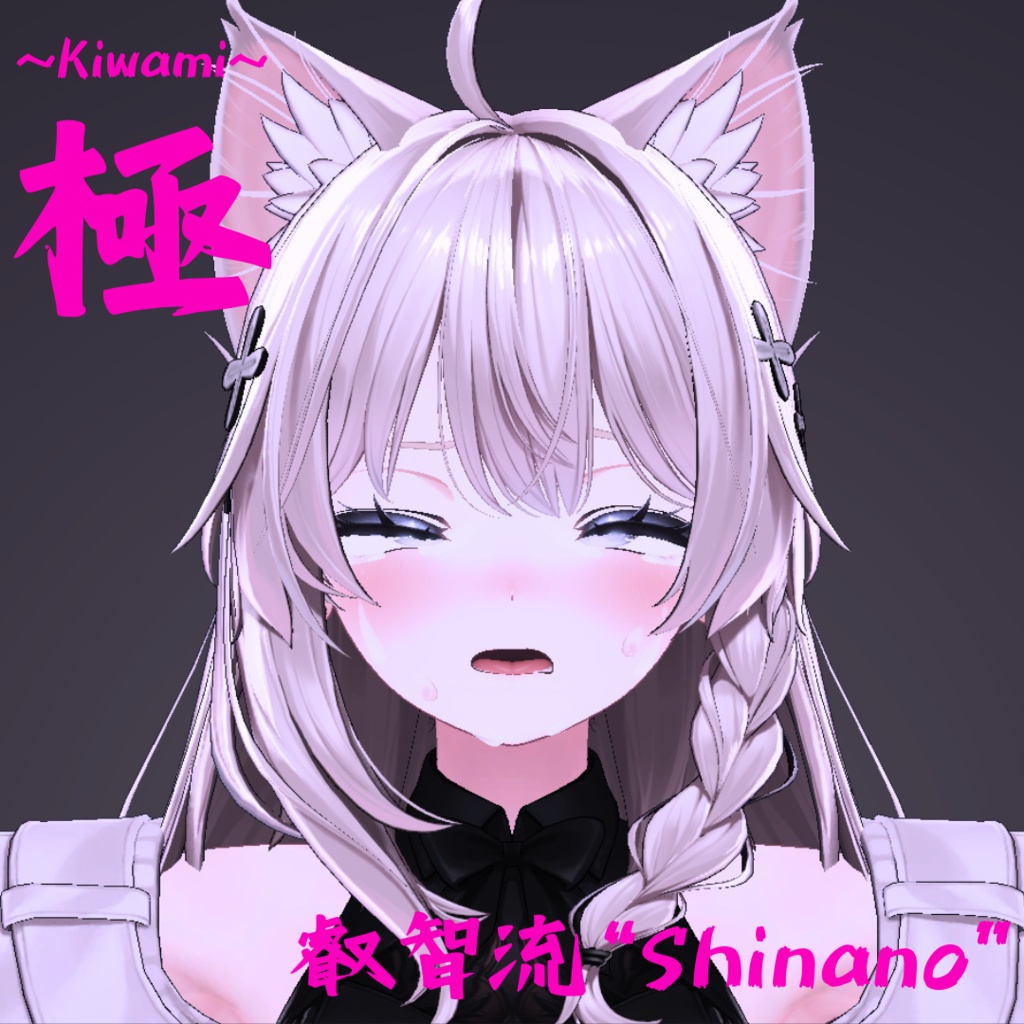 多彩な26種類セット!しなの用最強表情パック/Shinano FaceAnimation『極 叡智流"Shinano"』(攻め10種類+受け16種類)